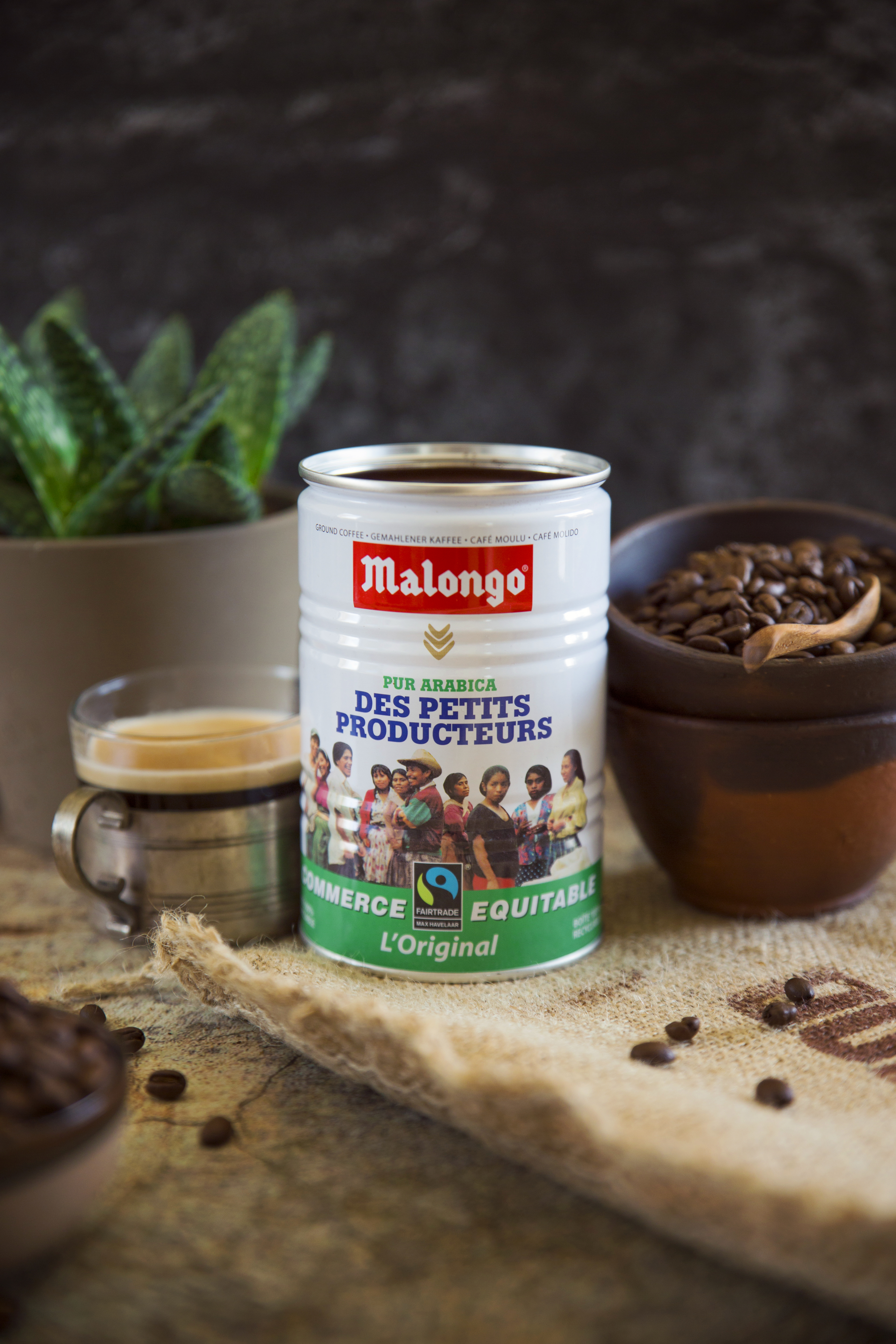 Malongo Turkiye De!